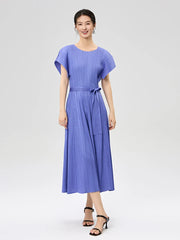 Luxe Plisse Glam Sleeve Dress
