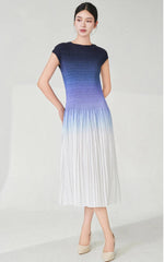 Designer Ombre Pleated Midi Dress