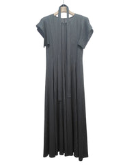 Luxe Plisse Glam Sleeve Dress