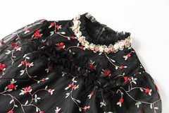 Luxury Tulle Embroidered Dress