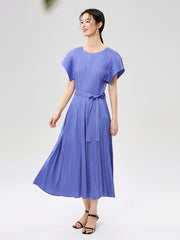 Luxe Plisse Glam Sleeve Dress