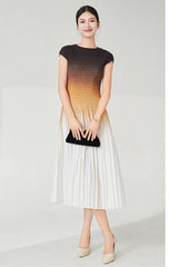 Designer Ombre Pleated Midi Dress