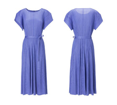 Luxe Plisse Glam Sleeve Dress