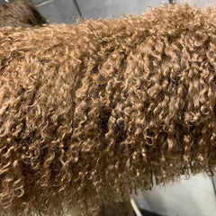 100% Real Curly Shearling Fur Long Coat