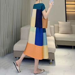 Elegant Pleats Skirt & Top Set