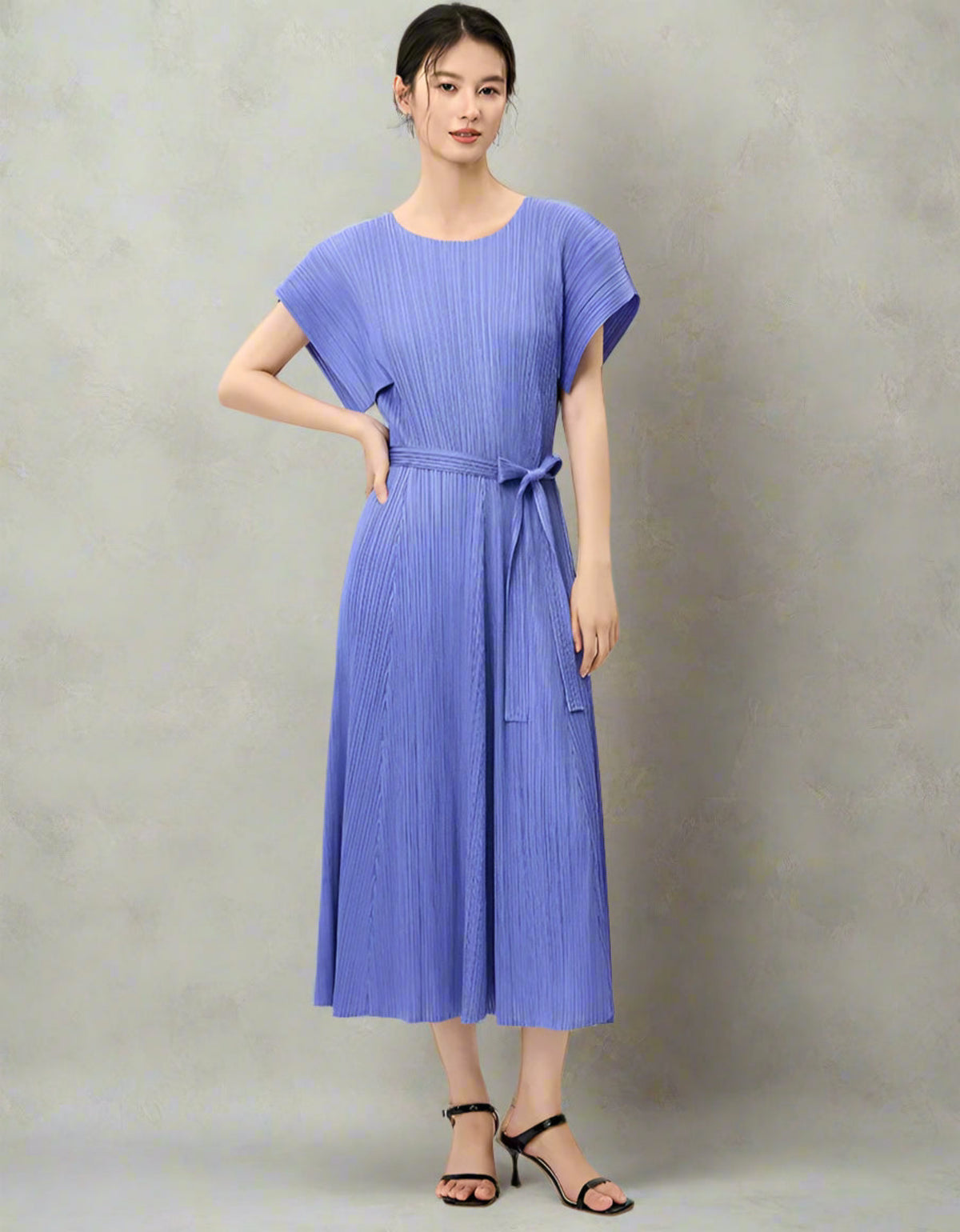 Luxe Plisse Glam Sleeve Dress