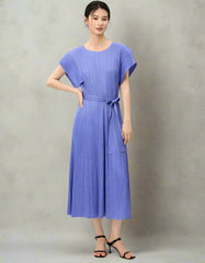 Luxe Plisse Glam Sleeve Dress
