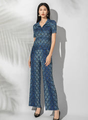 Elegant Pleated 2-Piece Set