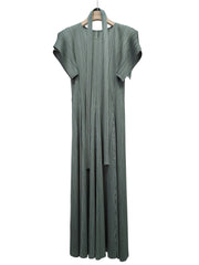 Luxe Plisse Glam Sleeve Dress