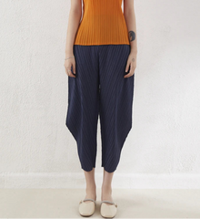 Luxury Pleated Casual/Formal Pants