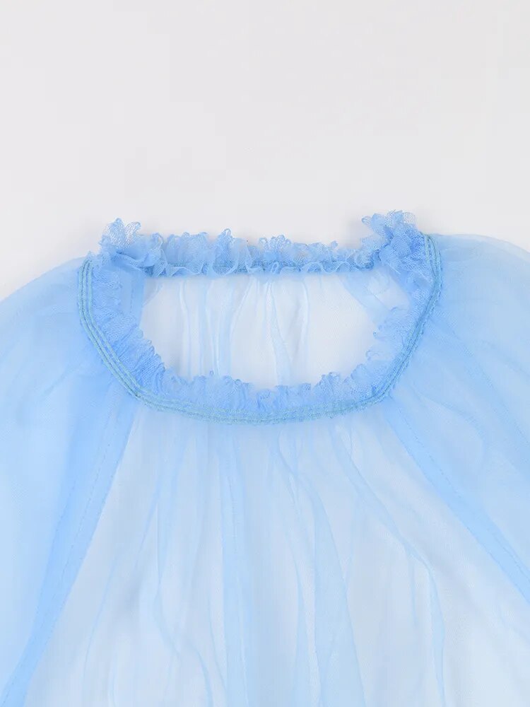 Elegant Ruffle Puff Sleeve Sheer Dress – HEYFANCYSTYLE