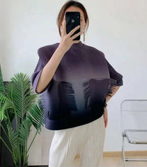 Pleated Ombre Blouse Top
