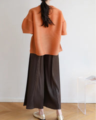 Luxury Dressy Pleated Top