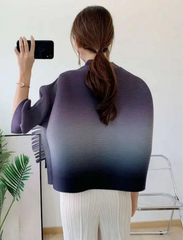 Pleated Ombre Blouse Top