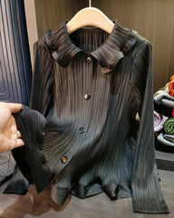 Premium Japanese Pleats Top