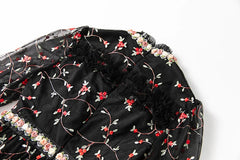 Luxury Tulle Embroidered Dress