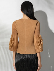 Luxury Sheer Pleated Ruffled Top