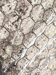 Luxury Honeycomb Sequin Skirt