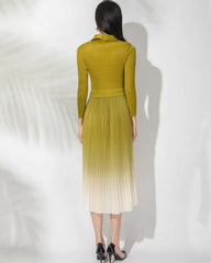 Elegant Plissé Ombre Dress