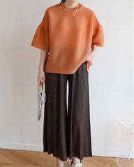 Luxury Dressy Pleated Top