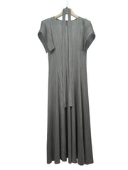 Luxe Plisse Glam Sleeve Dress