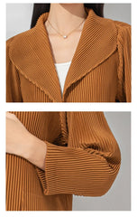 Luxury Micro-Pleated Pants Set