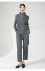 Women's 2 Piece Casual Pleated Jacket and Pants Set