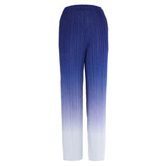 Women's 2 Piece Elegant Blue Pleated Pants Set