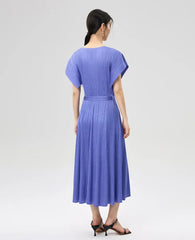Luxe Plisse Glam Sleeve Dress