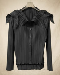 Unique Collar Plissé Blouse