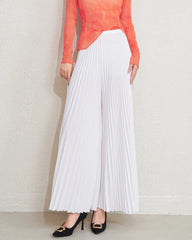 Luxury Plissé Palazzo Pants
