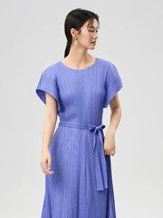 Luxe Plisse Glam Sleeve Dress
