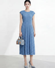 Crinkle Waist-Defined Pleated Dress